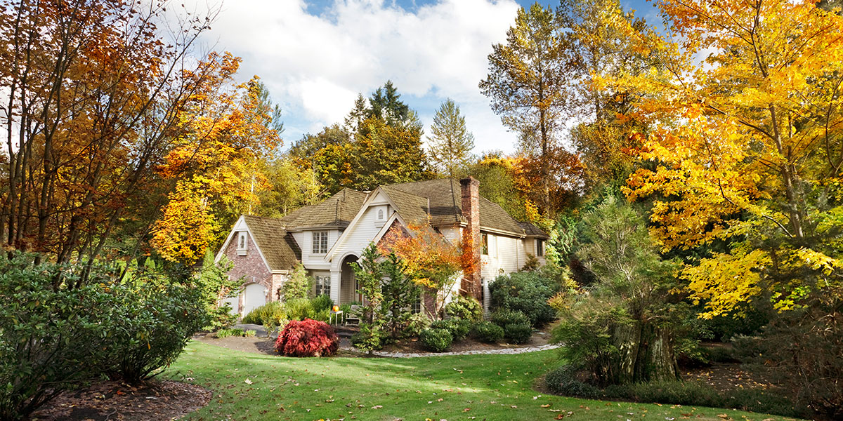 A gorgeous fix and flip home surrounded green grass and fall foliage
