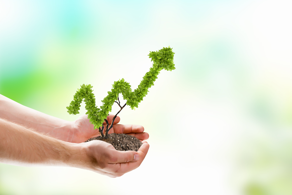 hands holding a plant that's growing in the shape of an arrow pointing up