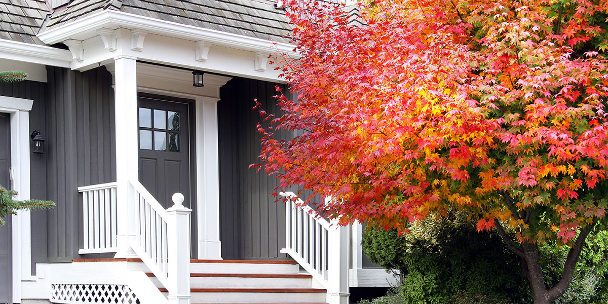 exterior of a rental property with a colorful fall tree in front